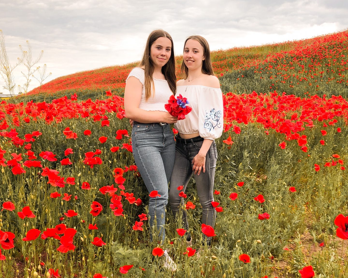 Freundschaft – immer besser zusammen